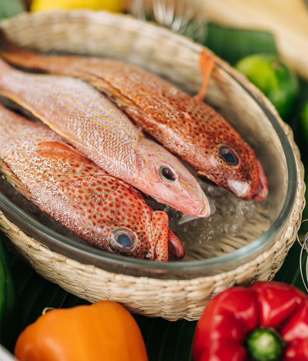 ANI Anguilla - Guest Experiences - Cooking Class - Ingredients