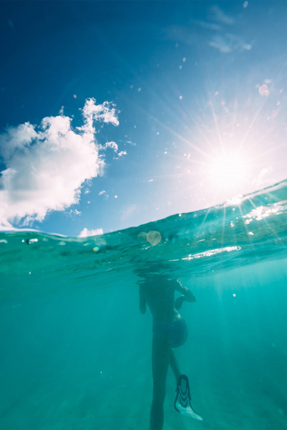 ANI Anguilla - Guest Privileges - Snorkeling