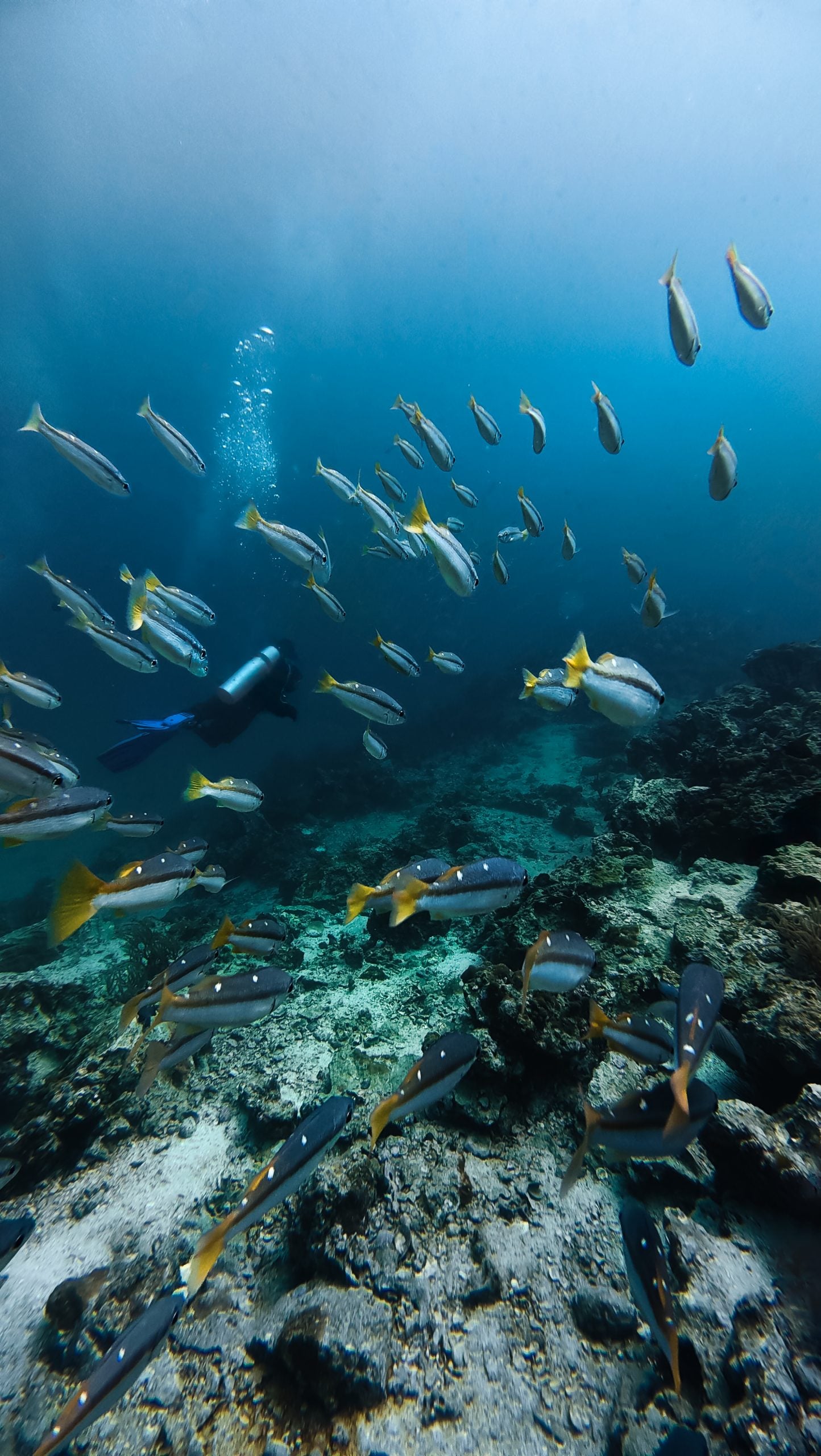 Scuba Diving Thailand