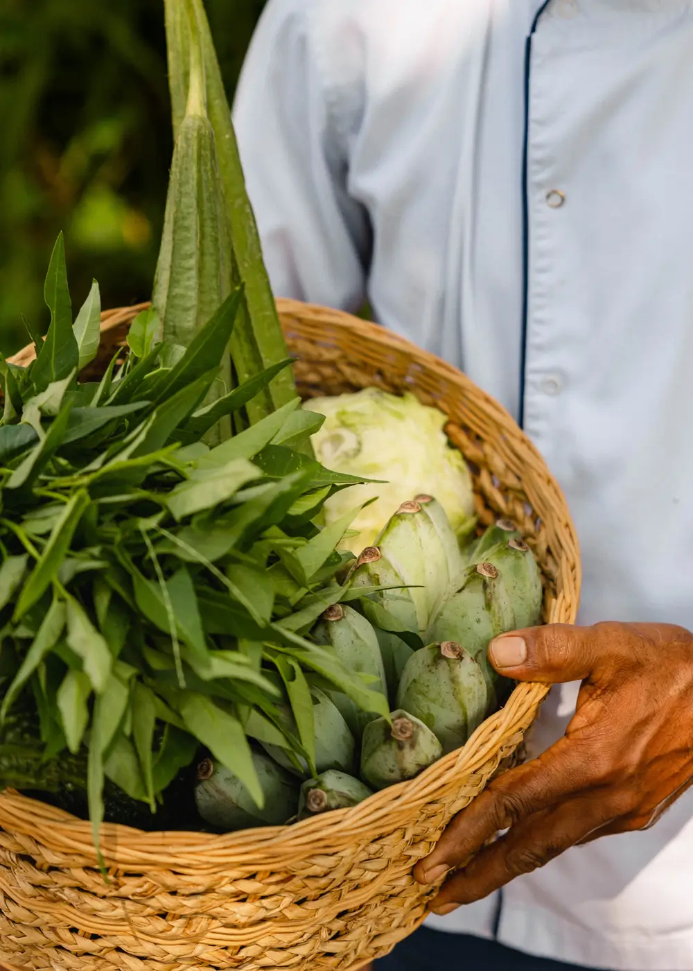 ANI Sri Lanka - Dining - Spices