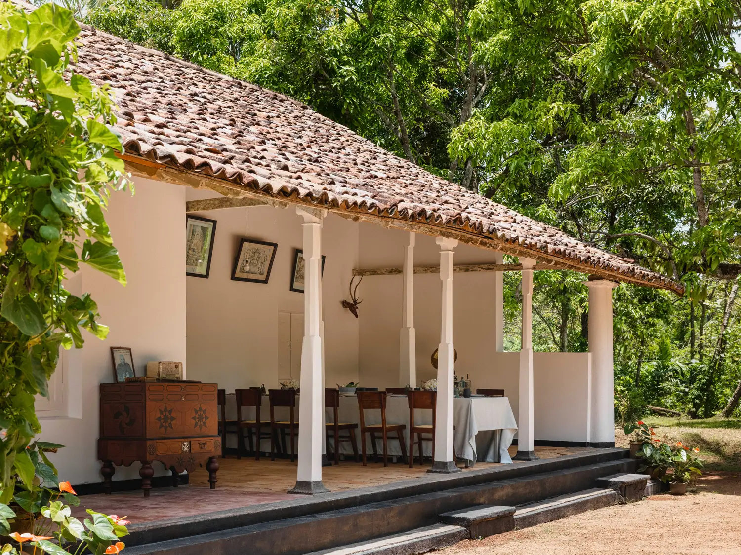 ANI Thailand - Festive u0026 Winter Season - Fire Juggler