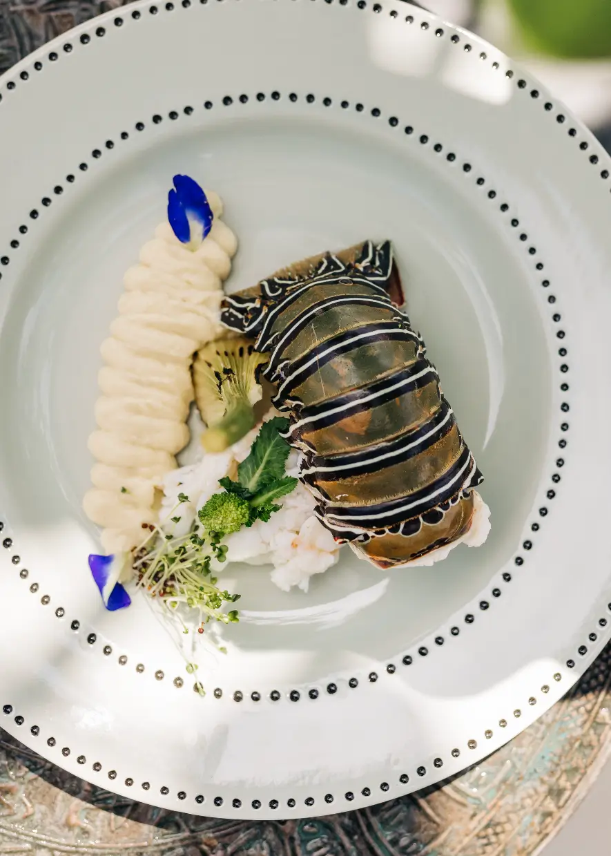 Beautiful Lobster Dish