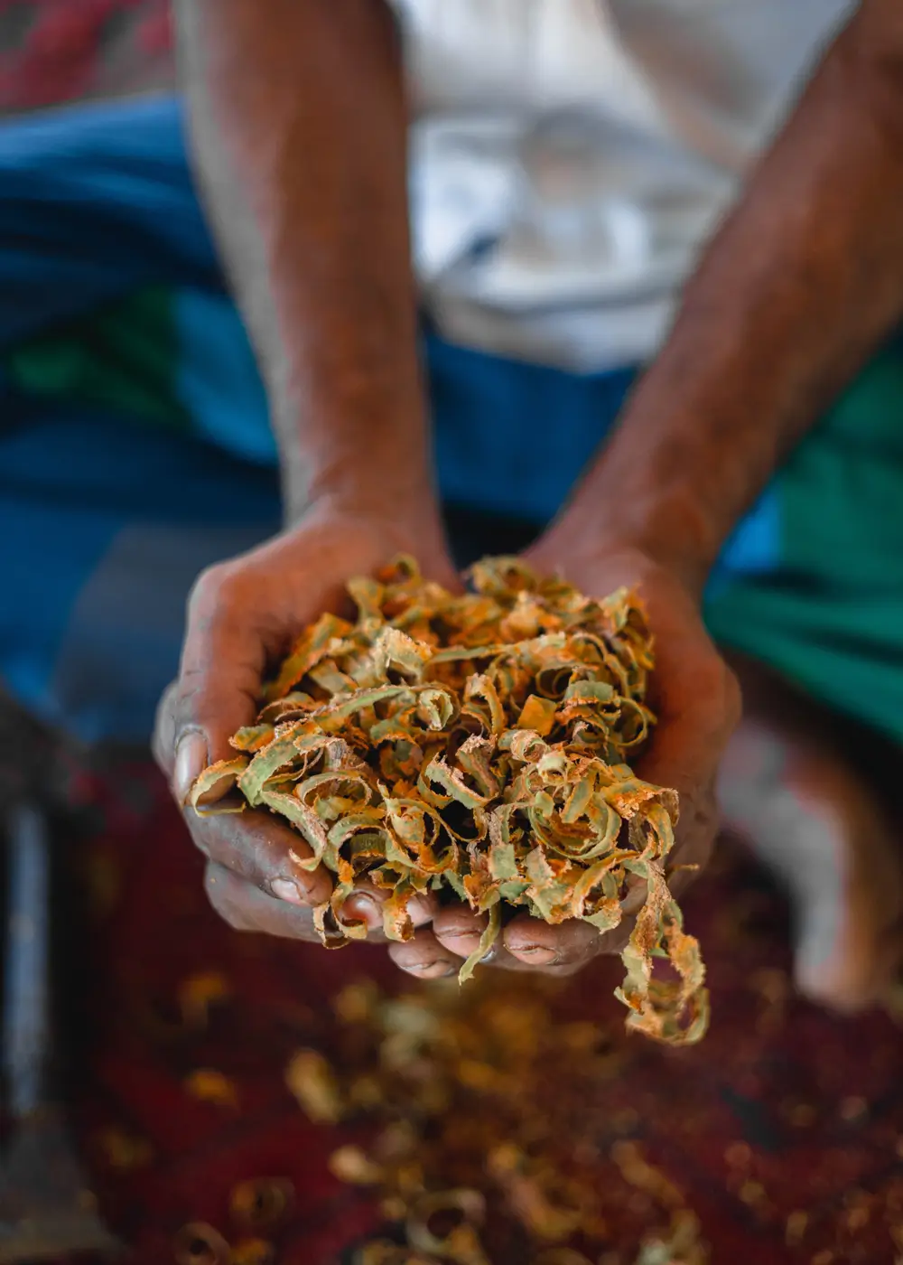 ANI Sri Lanka - Ayurvedic Lunch