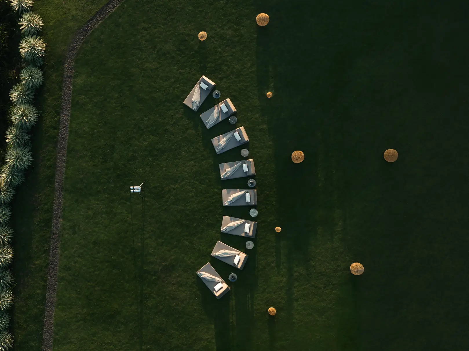 Eagle in Udawalawe National Park Sri Lanka, ANI wildlife trip