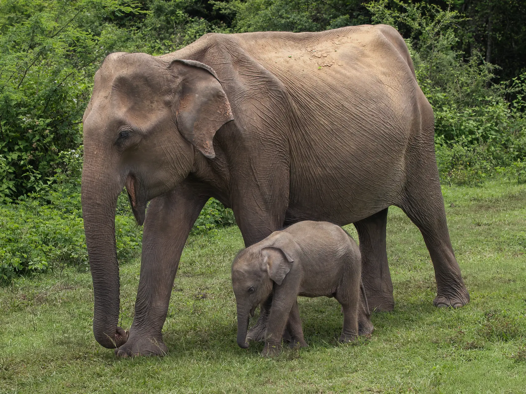 ANI Thailand - Resort - Sunrise over Phang Nga Bay 2