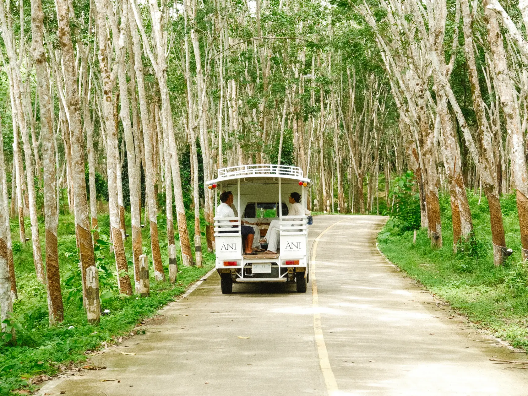 ANI Thailand - Festive & Winter Season - Fire Juggler