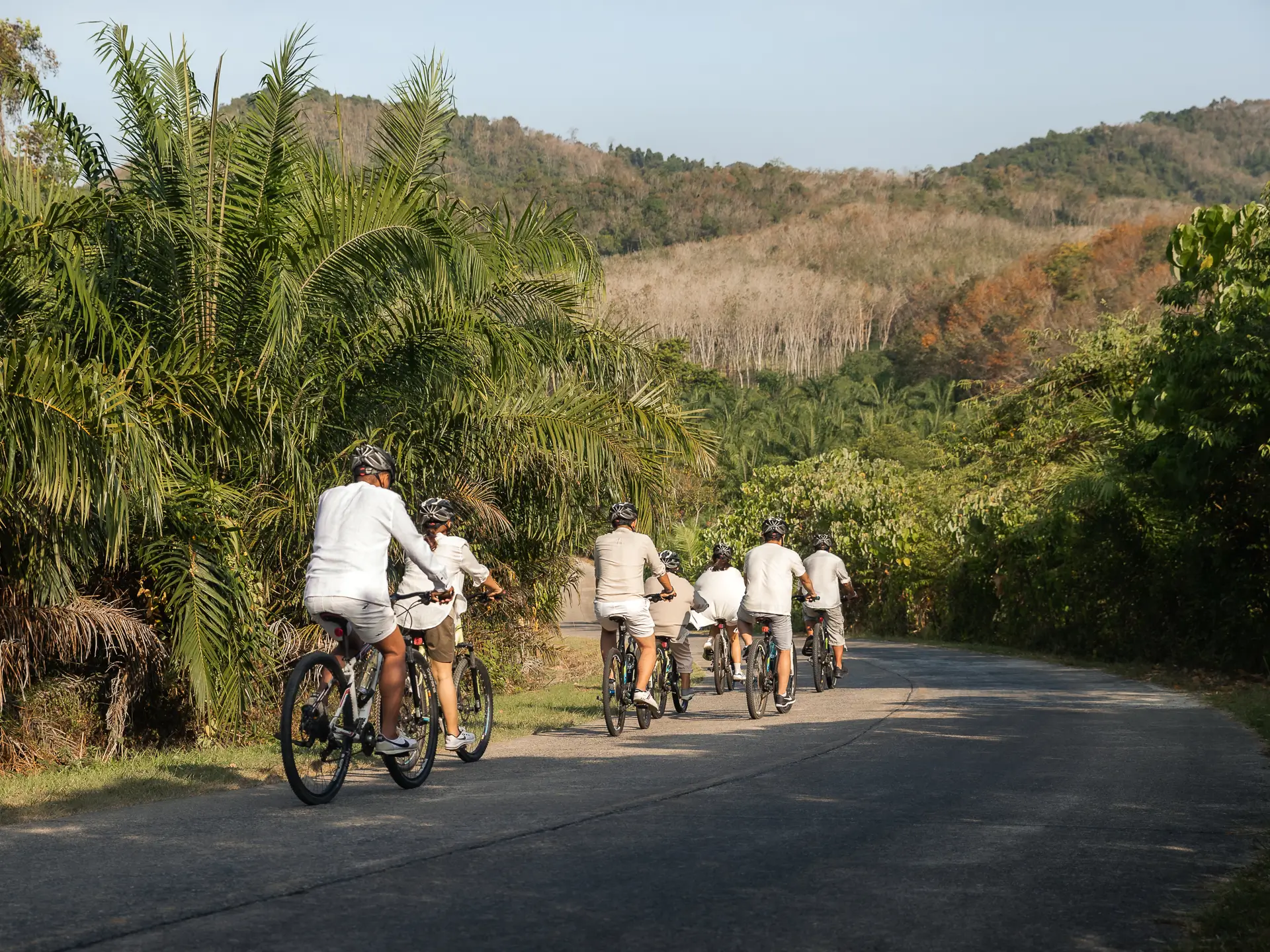 ANI Thailand - Dining - Dishes - Beef with Black ink pasta
