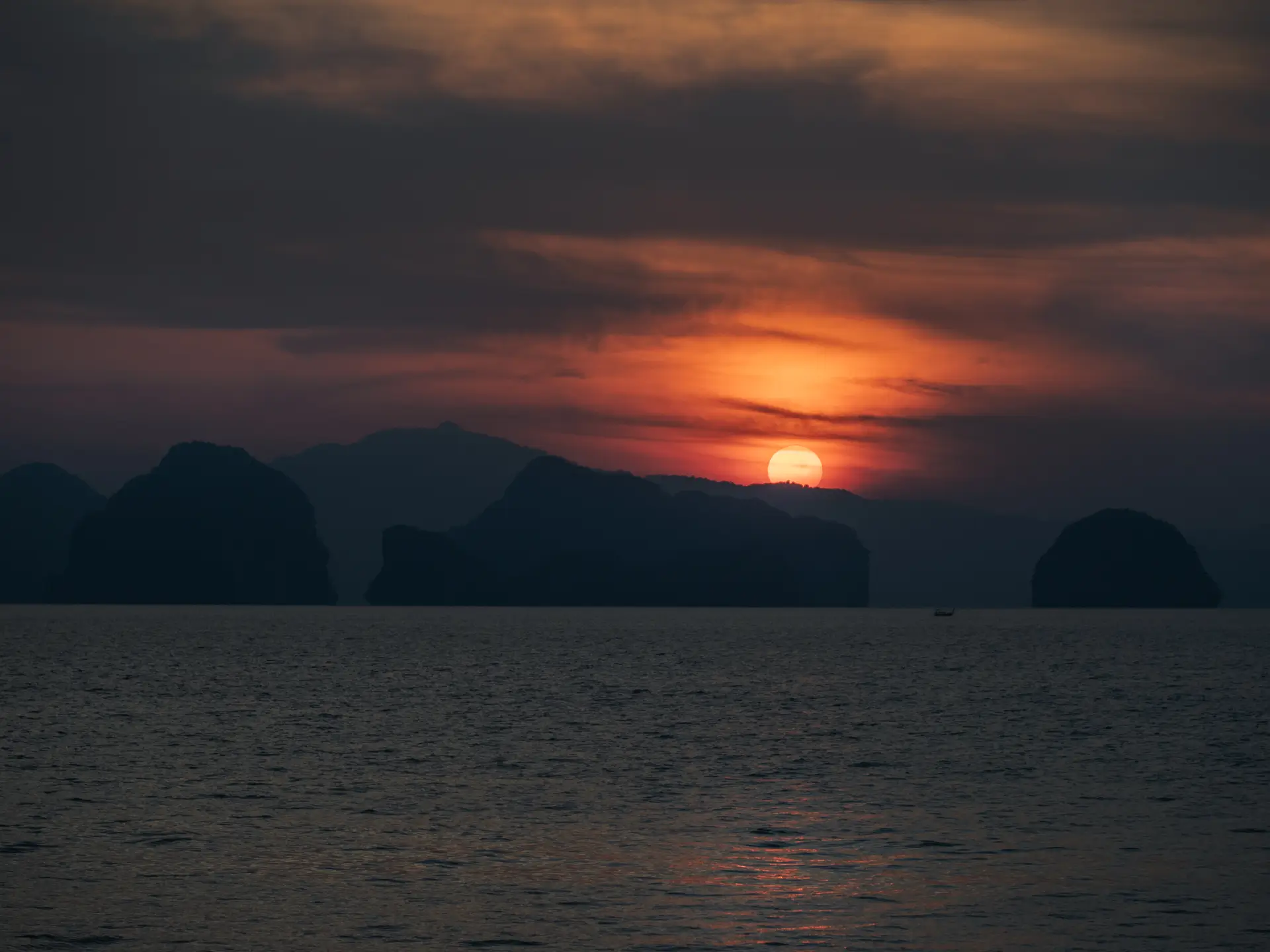 ANI Thailand - Dining - Dishes - Beef with Black ink pasta