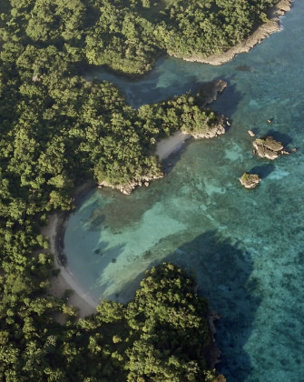Aerial Shot of Tropical Jungle