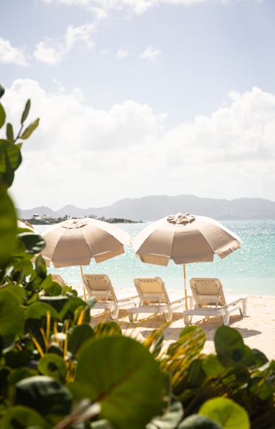 ANI Anguilla - Guest Privileges - Beach BBQ - Set Up Sun Loungers