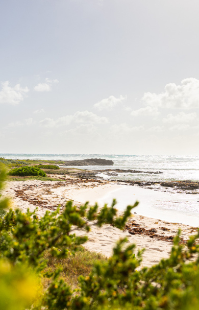 ANI Anguilla - Beaches - Junks Hole