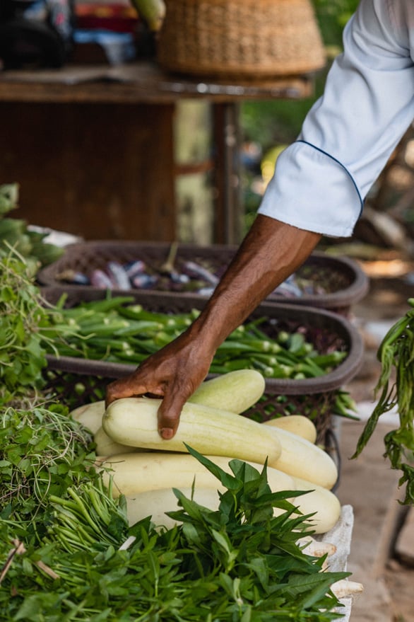 ANI-Sri-Lanka-Dining-Chef-with-ingredients