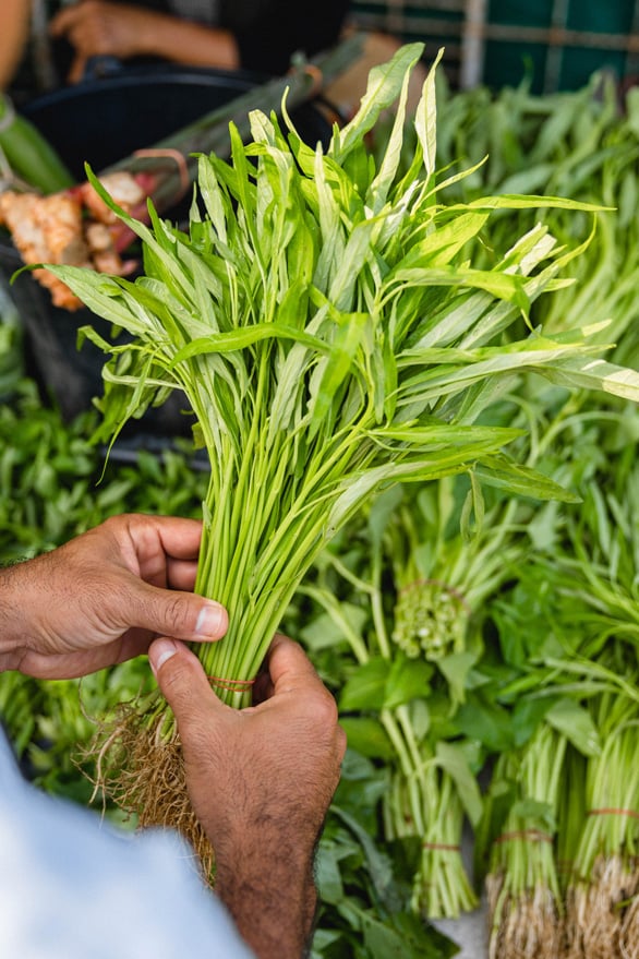 ANI-Thailand-Dining-Chef-with-Thai-Ingredients