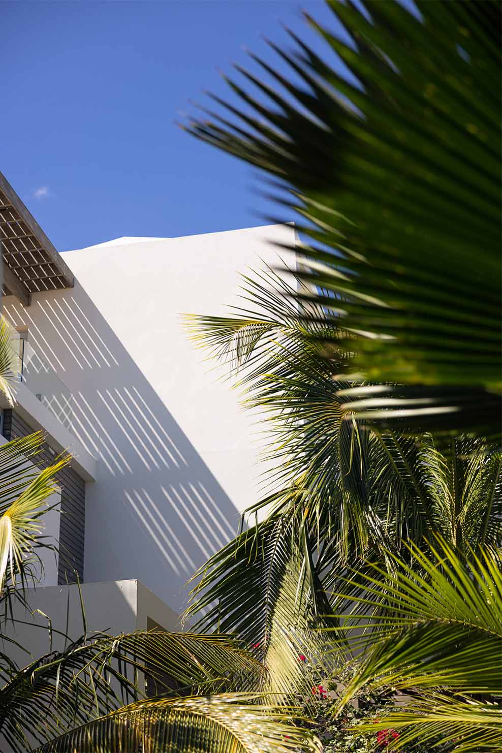 ANI Anguilla - Architecture - North Villa Exterior