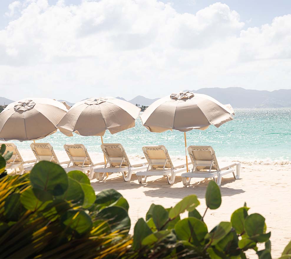 ANI Anguilla - Guest Privileges - Beach BBQ - Sun Loungers