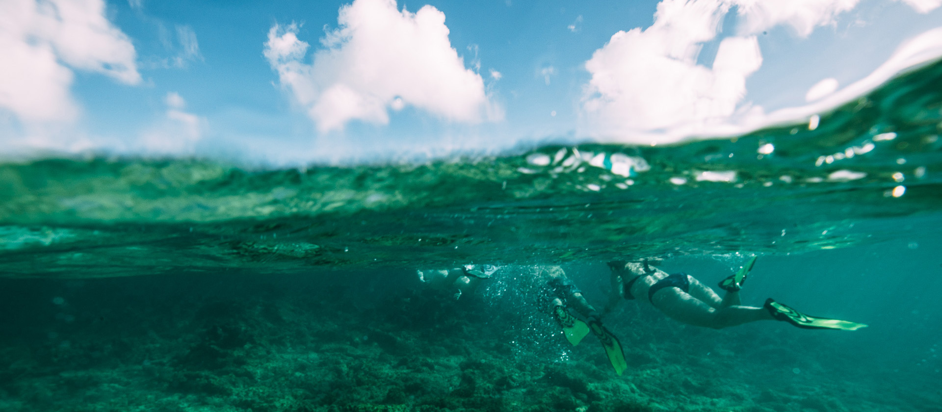 ANI Anguilla - Guest Privileges - Snorkeling