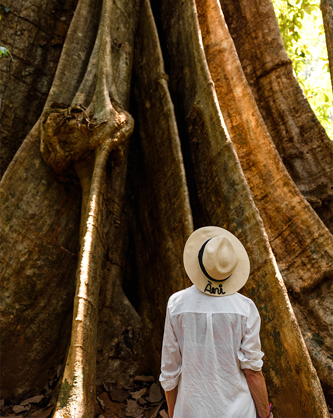 ANI Thailand - Additional Activities - Cruise - Big Tree