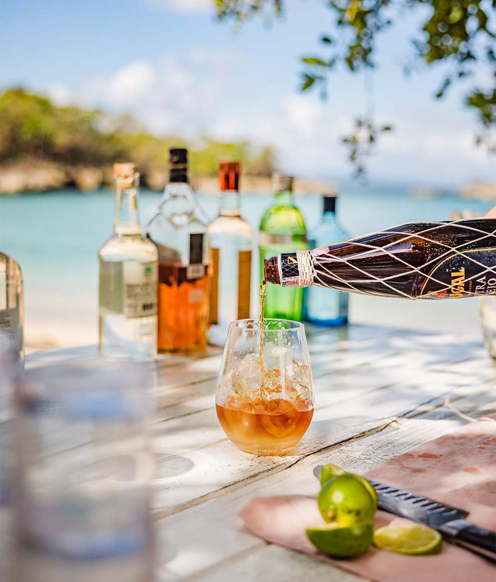 ANI Dominican Republic - Guest Privileges - Beach BBQ Lunch - Bar