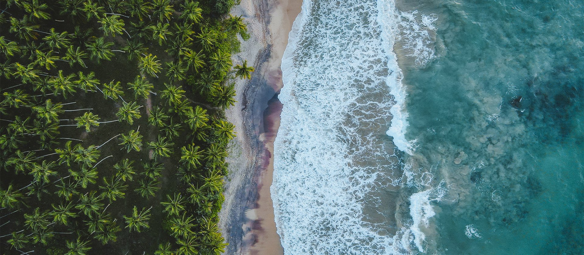 ANI Sri Lanka - Beach