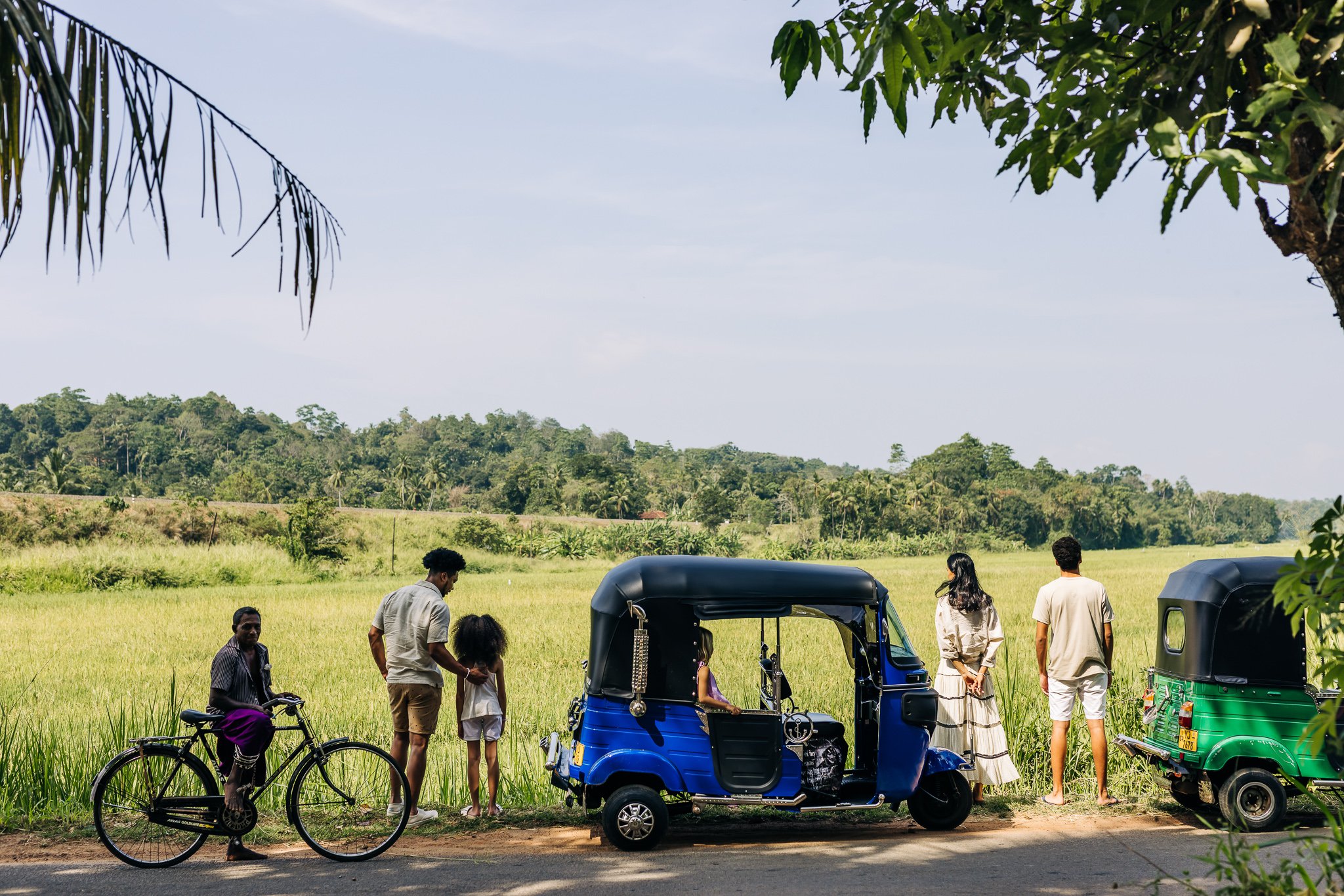 ANI Sri Lanka - Guest Privileges - Tuk Tuk Tour - Paddy Fields