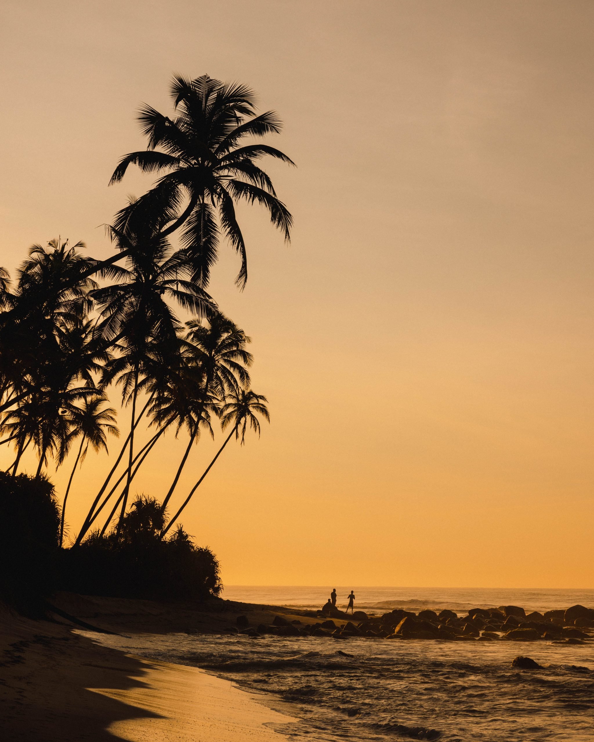 ANI Sri Lanka - Resort - Beach Sunrise with Fishermen