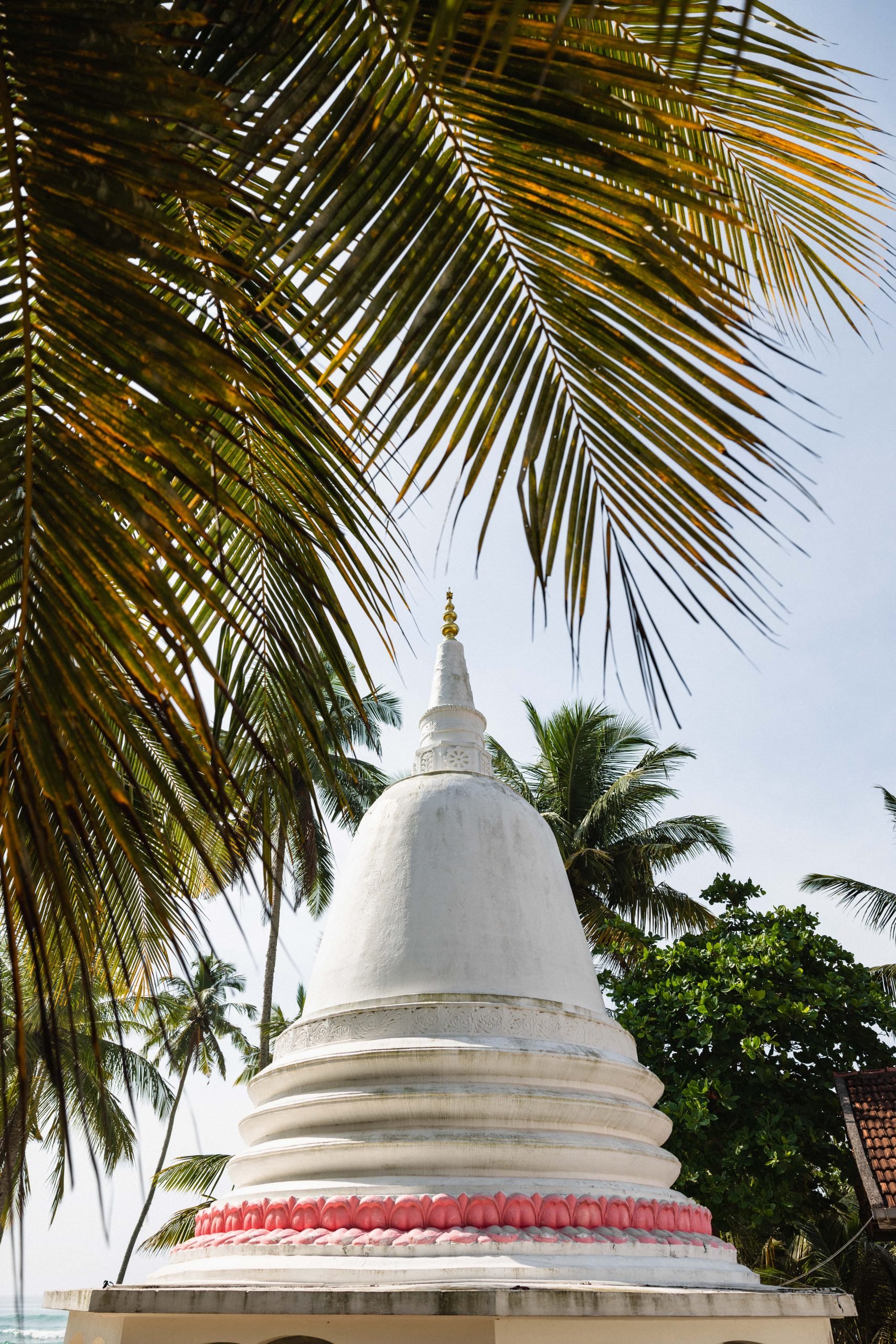 ANI Sri Lanka - Surrounding Area - Local Stupa