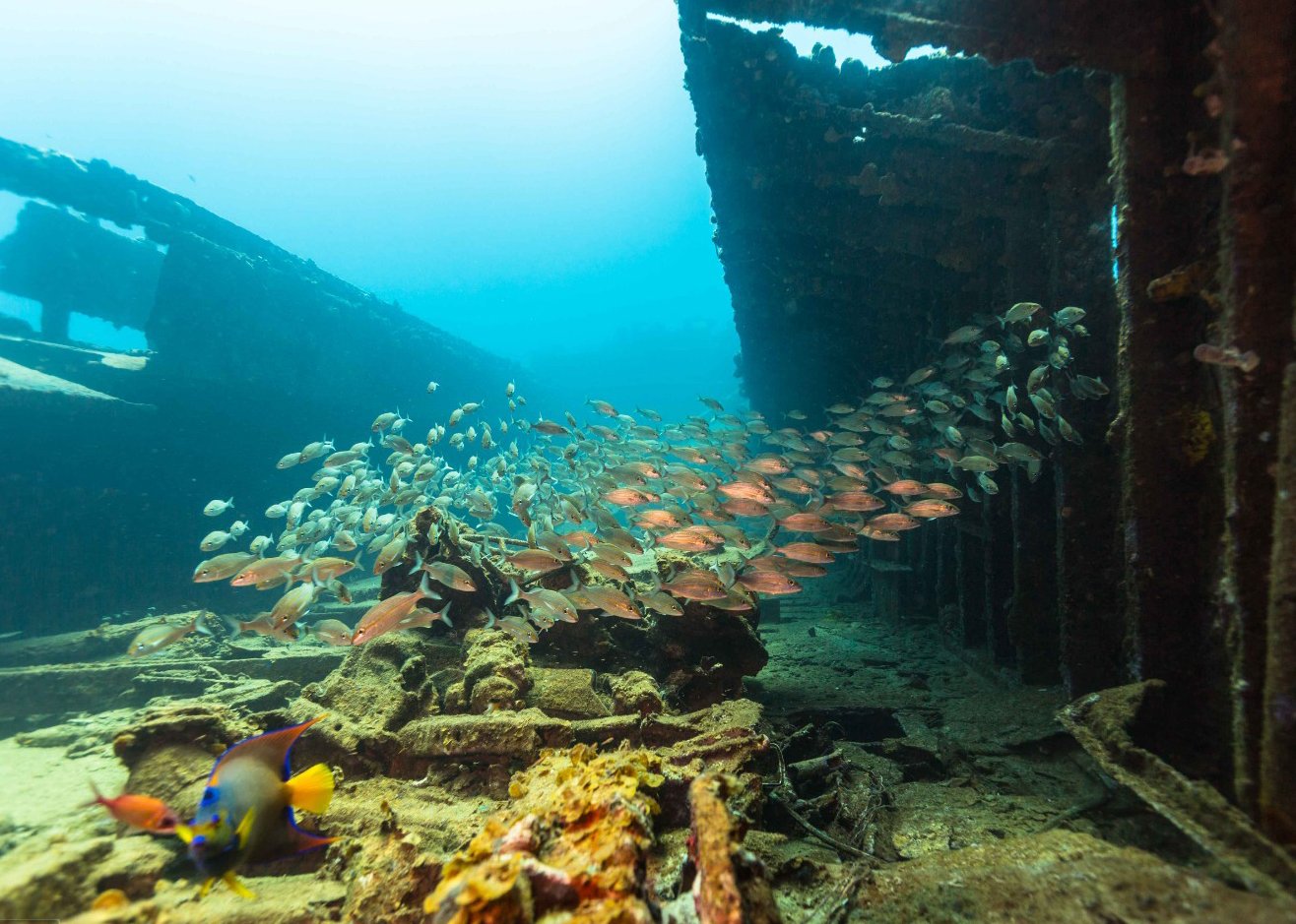 ANI Anguilla - Scuba Shack Diving 7