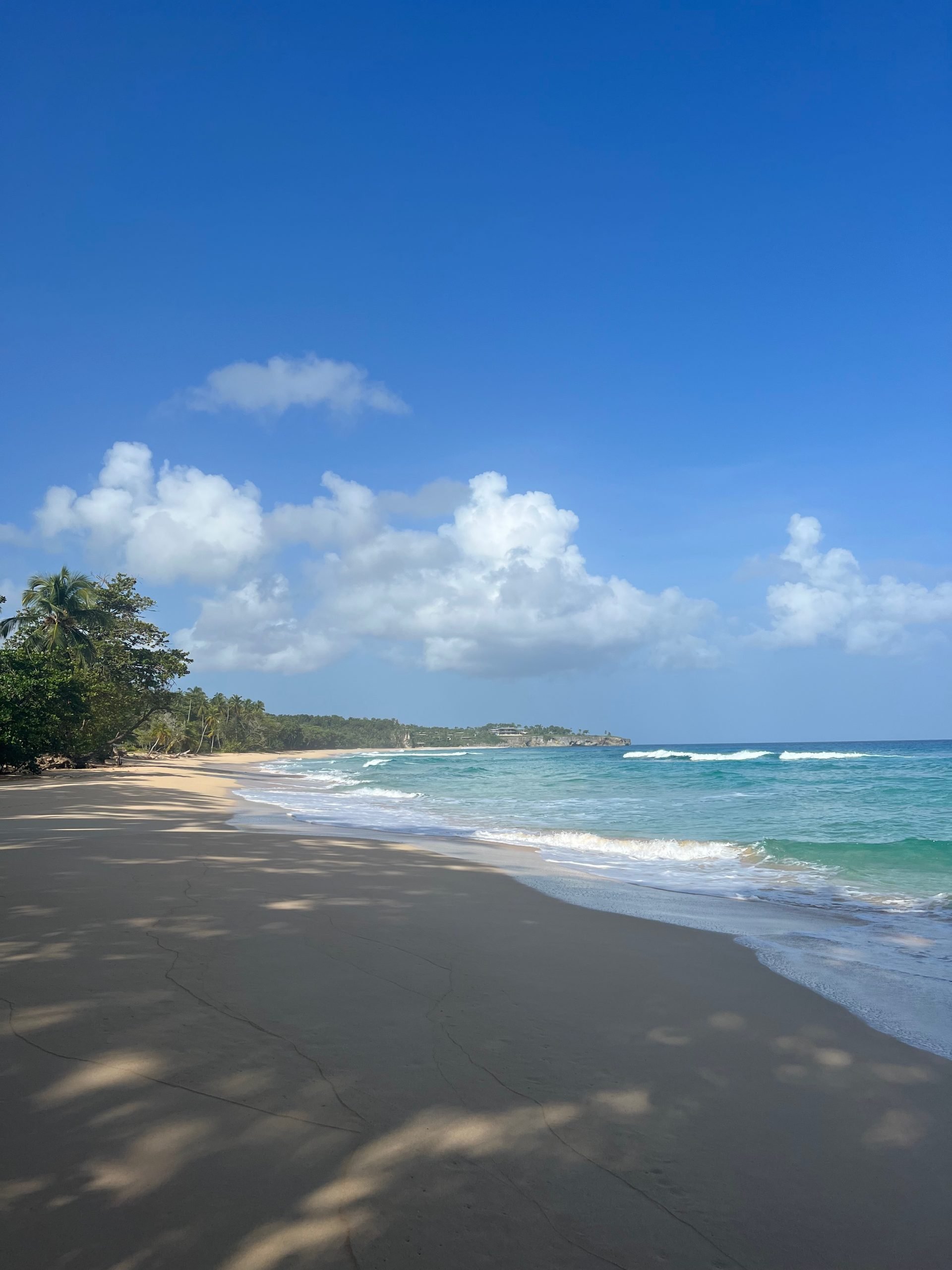 ANI Dominican Republic - Playa Grande