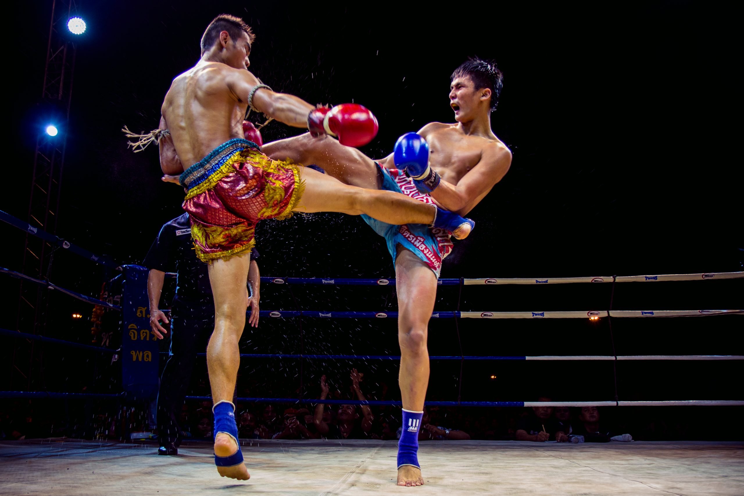 ANI Thailand - Mauy Thai Boxing Professioals