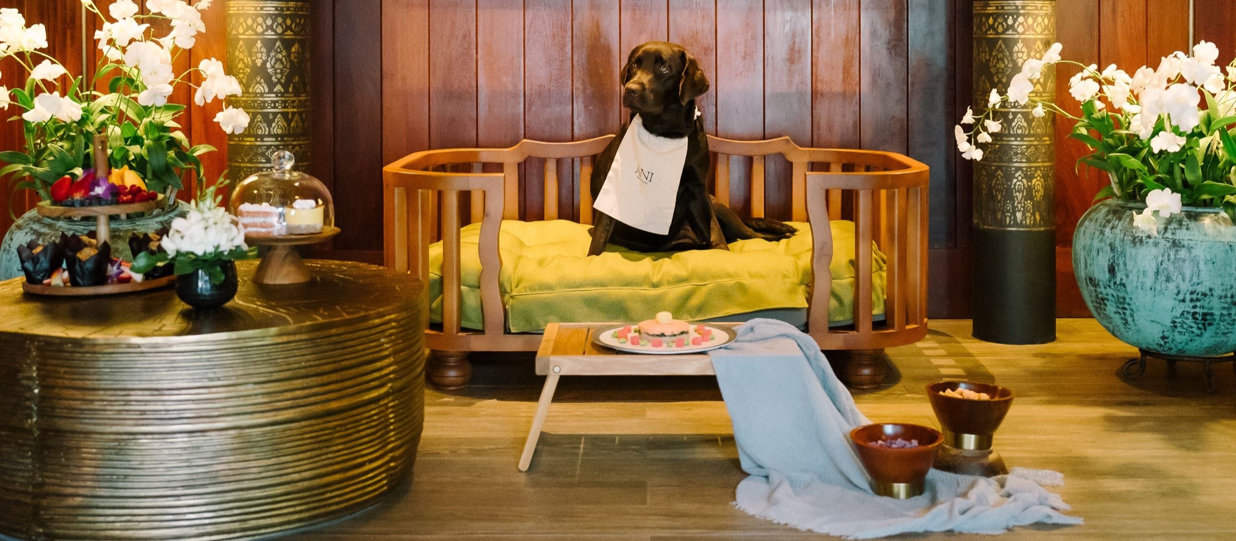 ANI Private Resorts - Pet Inclusions - Healthy Luxury Customized Vet-Reviewed Menus For Pets - 2