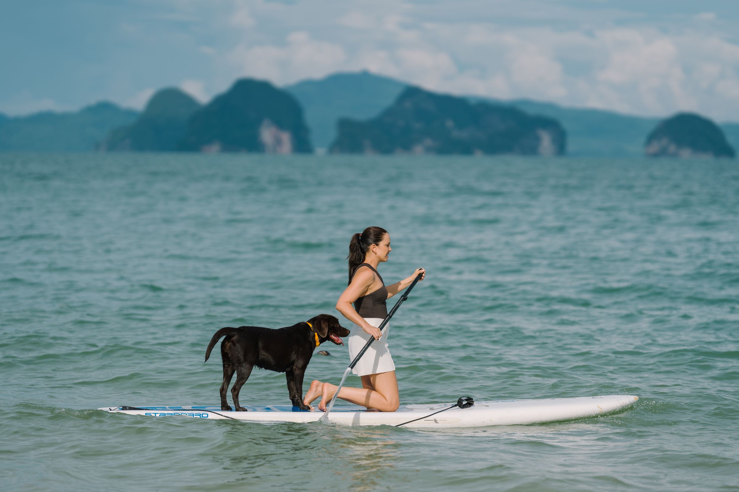 ANI Private Resorts - Pet Inclusions - Paddleboarding And Family Activities With Pets