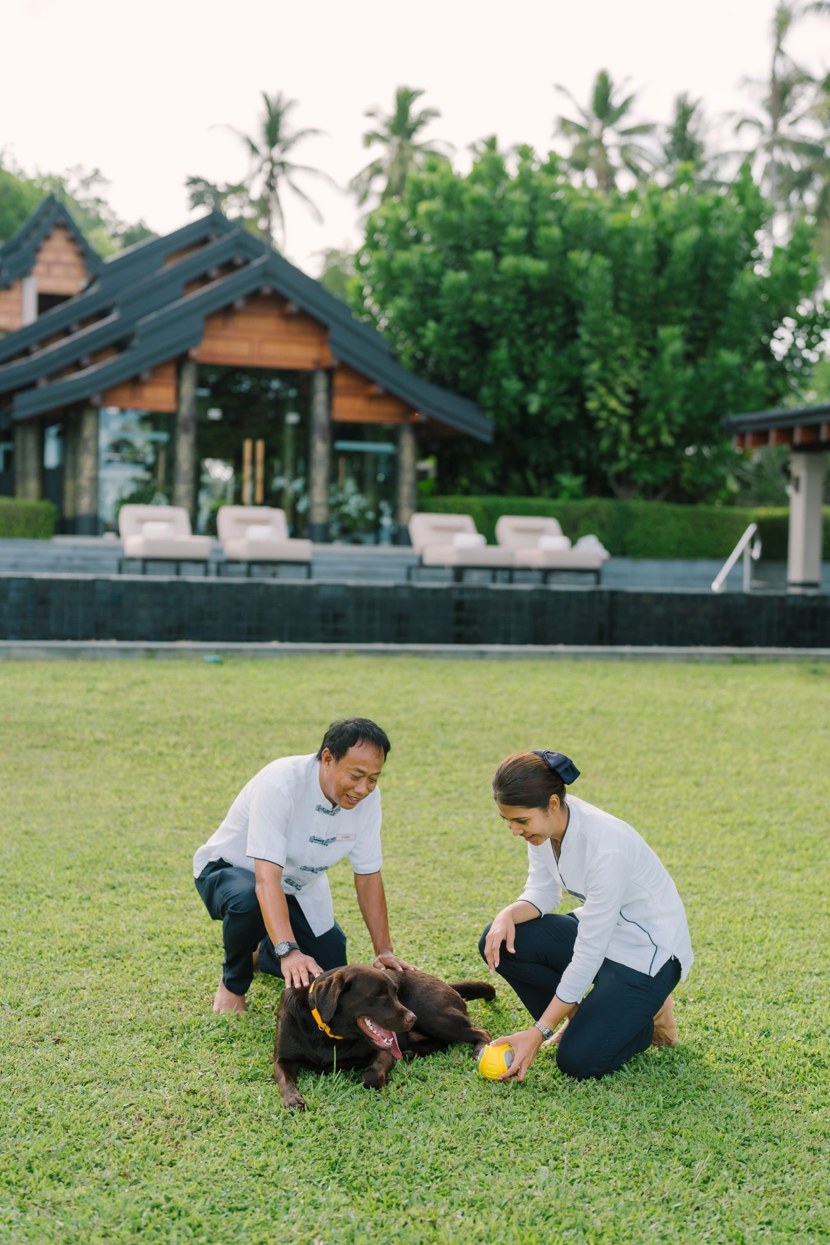 ANI Private Resorts - Pet Inclusions - Staff Services in Pet Inclusions