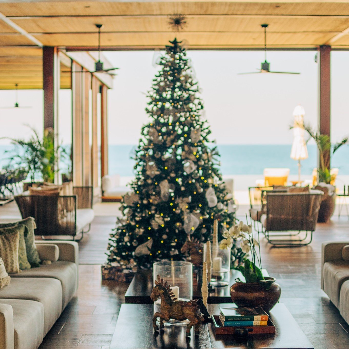 ANI Dominican Republic - Festive & Winter Season - Christmas Tree & Ocean View