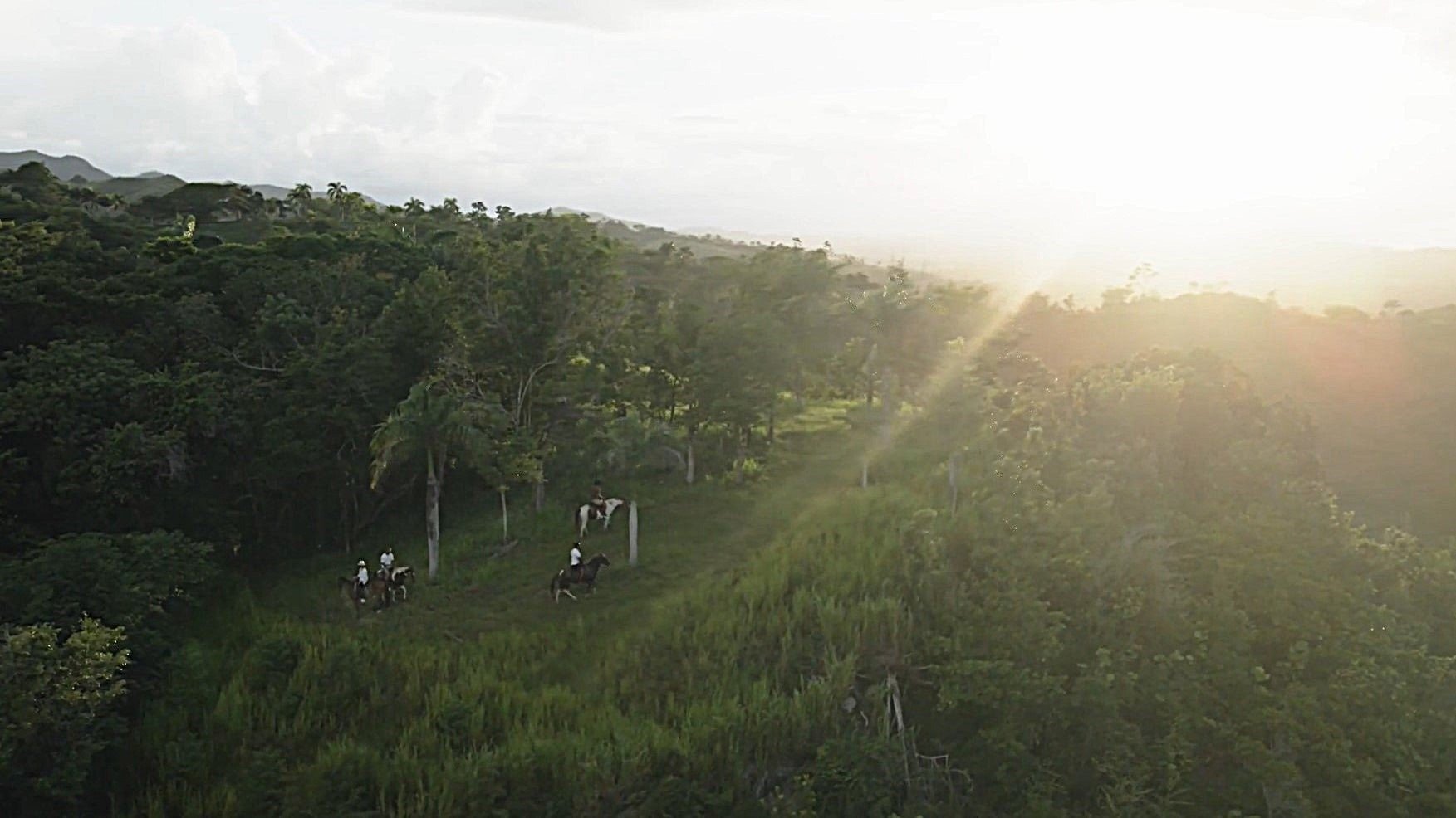 ANI Dominican Republic - Guest Experiences - Horseback Ride