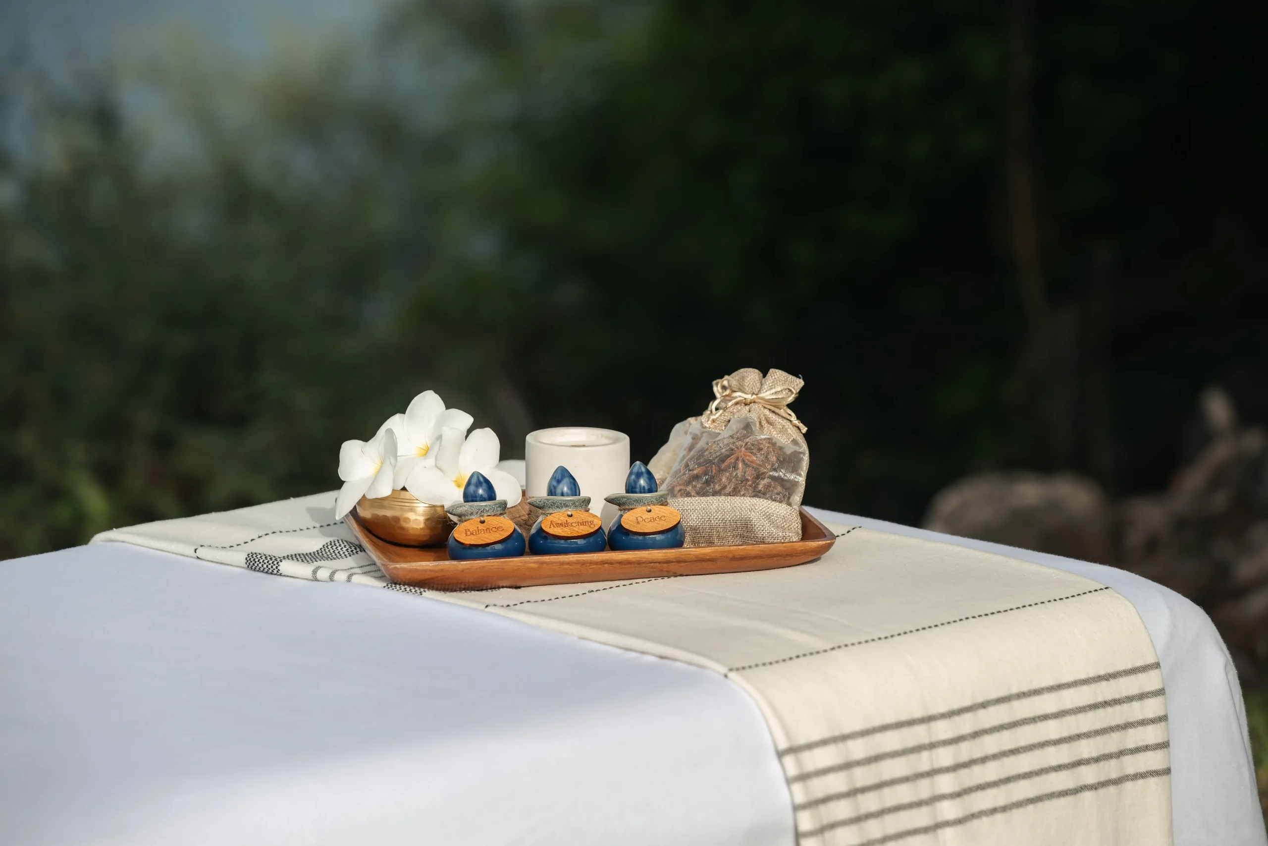 Private spa treatment and wellness program at ANI Anguilla