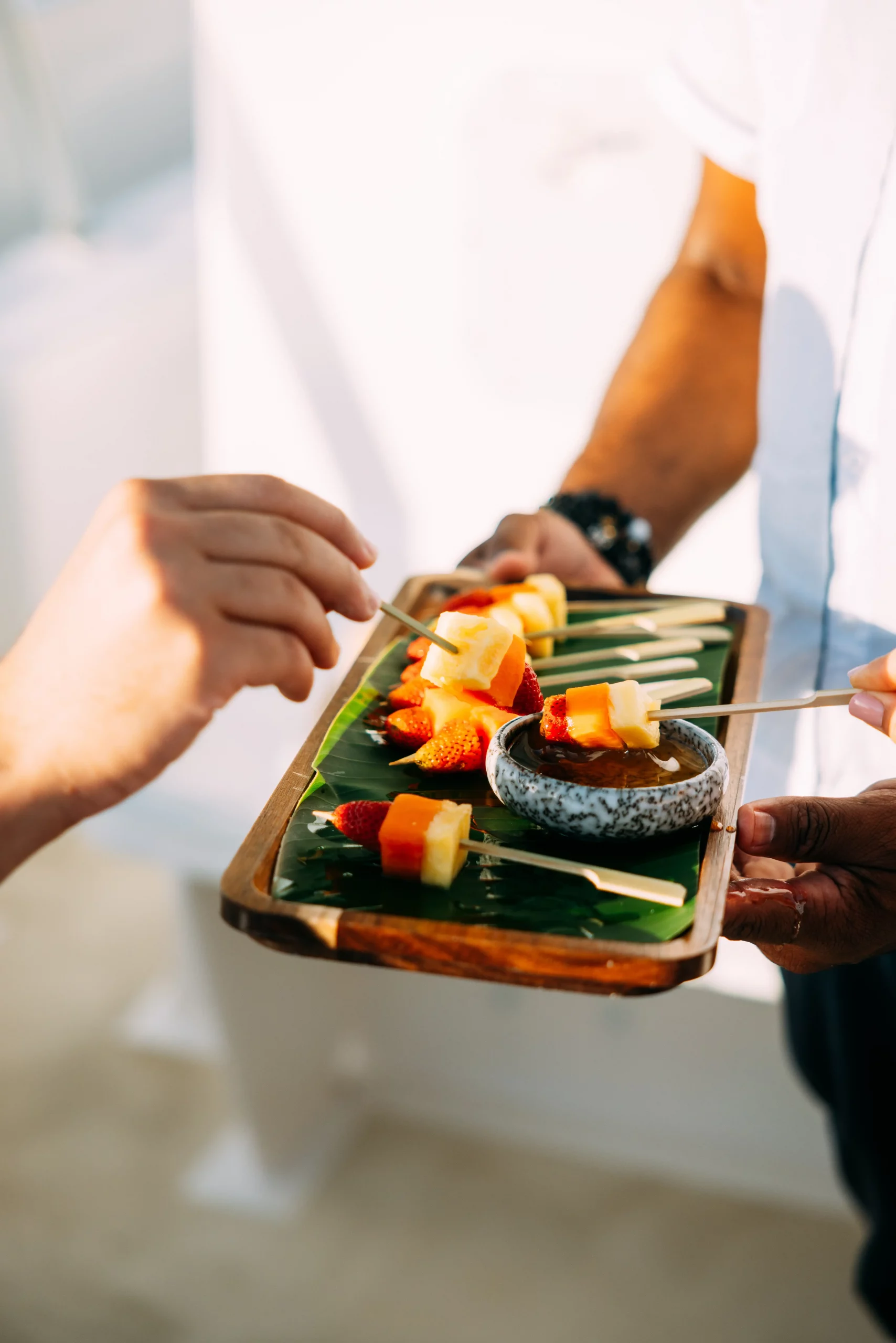 Private trip whale watching excursion at Samana Bay for guests of the luxury ANI Dominican Republic Resort