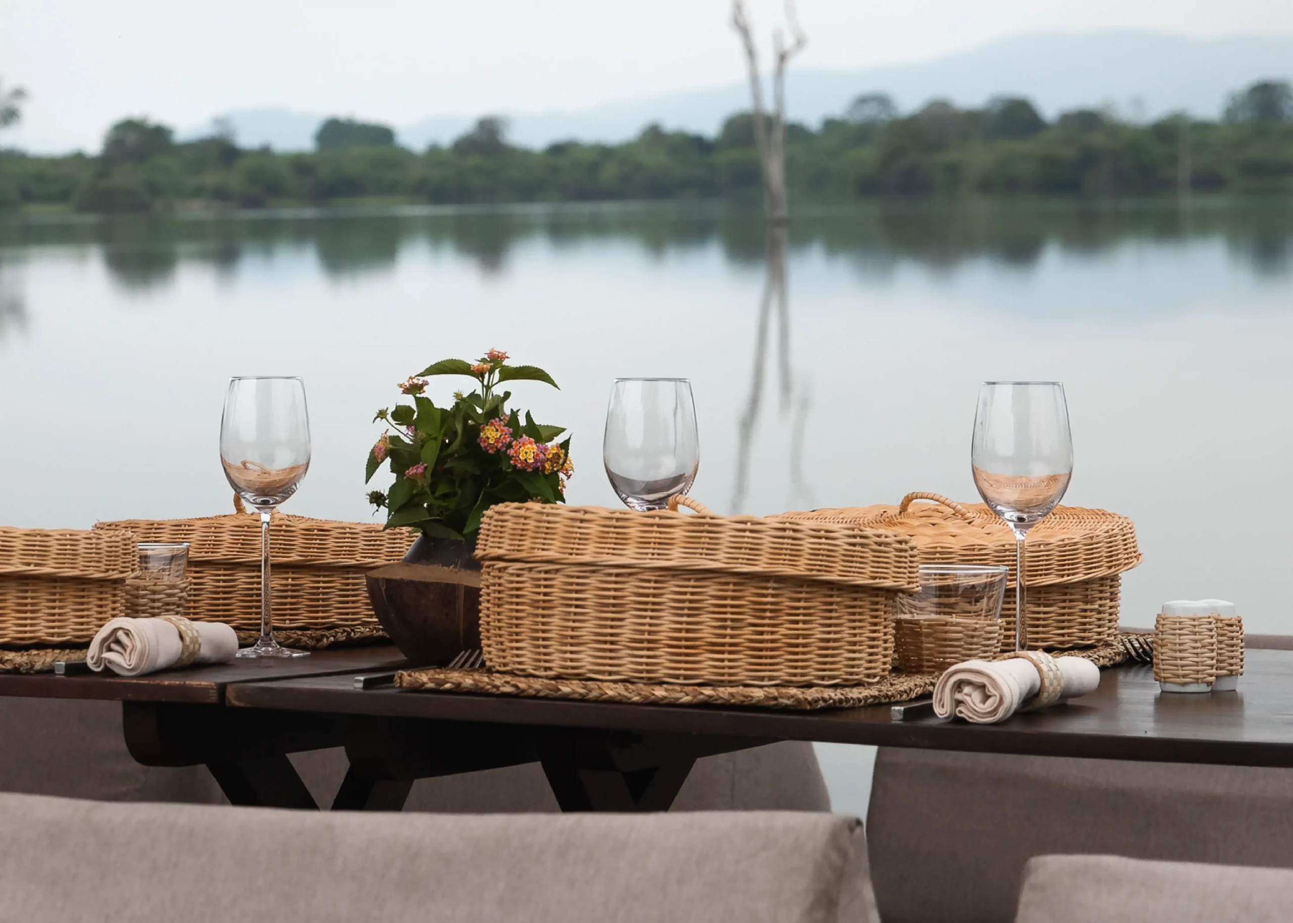 Eagle in Udawalawe National Park Sri Lanka, ANI wildlife trip