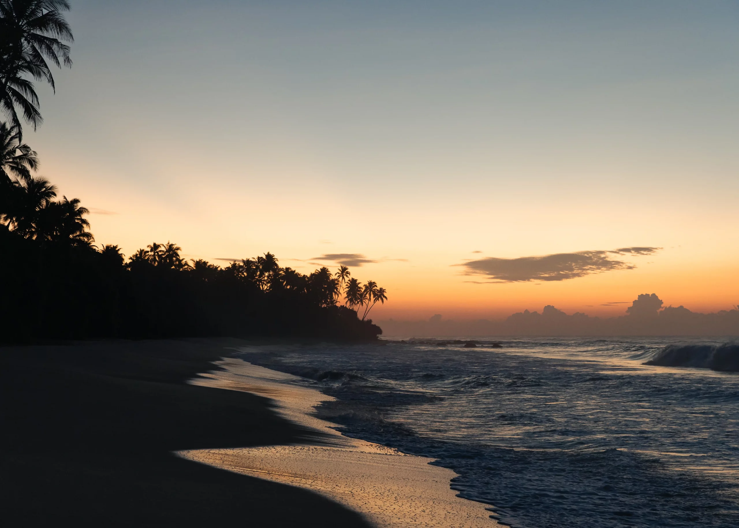 Charter catamaran in Sri Lanka, watch blue whale and dolphin from ANI private resort