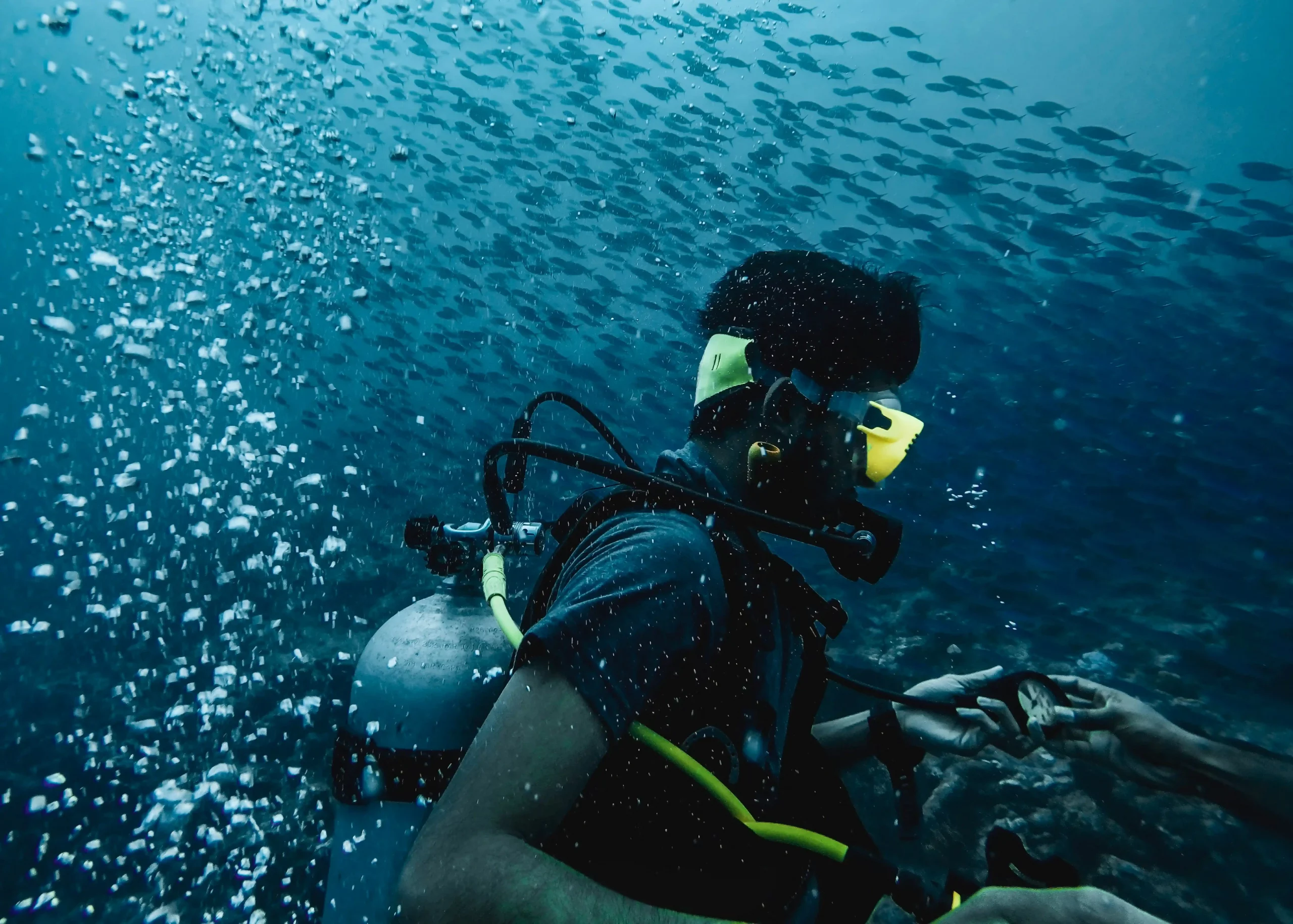 Thailand scuba diving trip, Andaman sea marine life