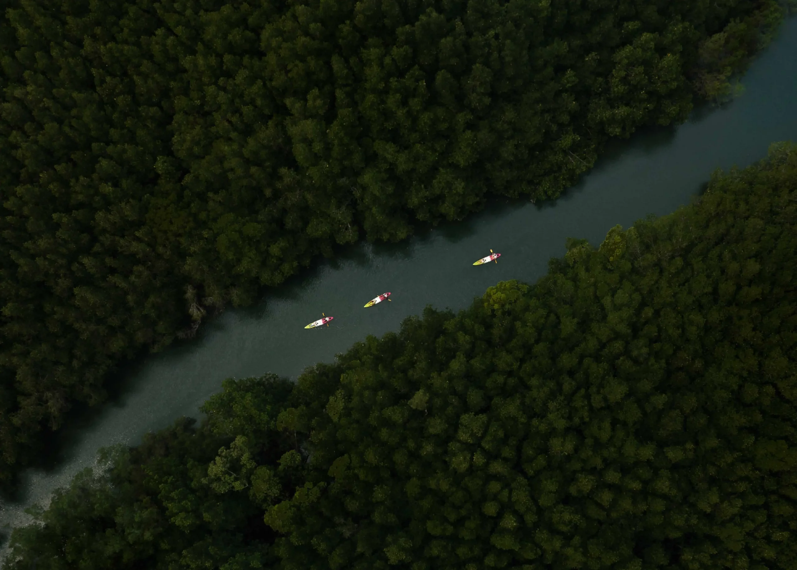 Surfing and things to do in Sri Lanka