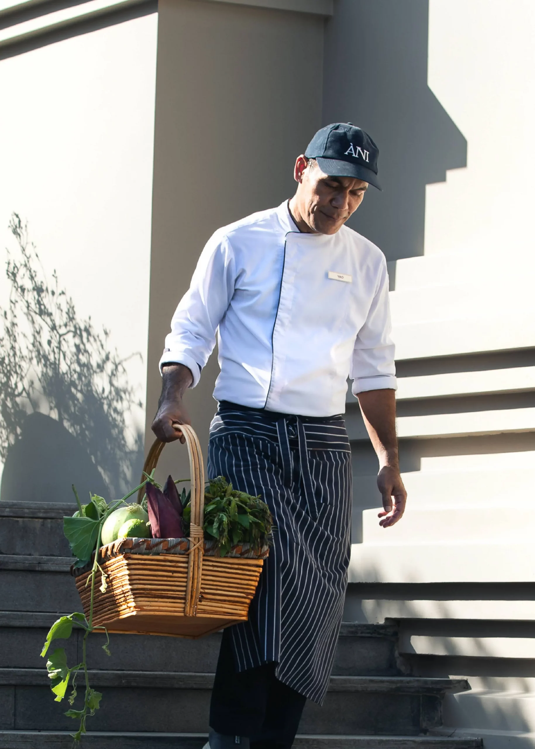 ANI-Thailand-Chef-Yao