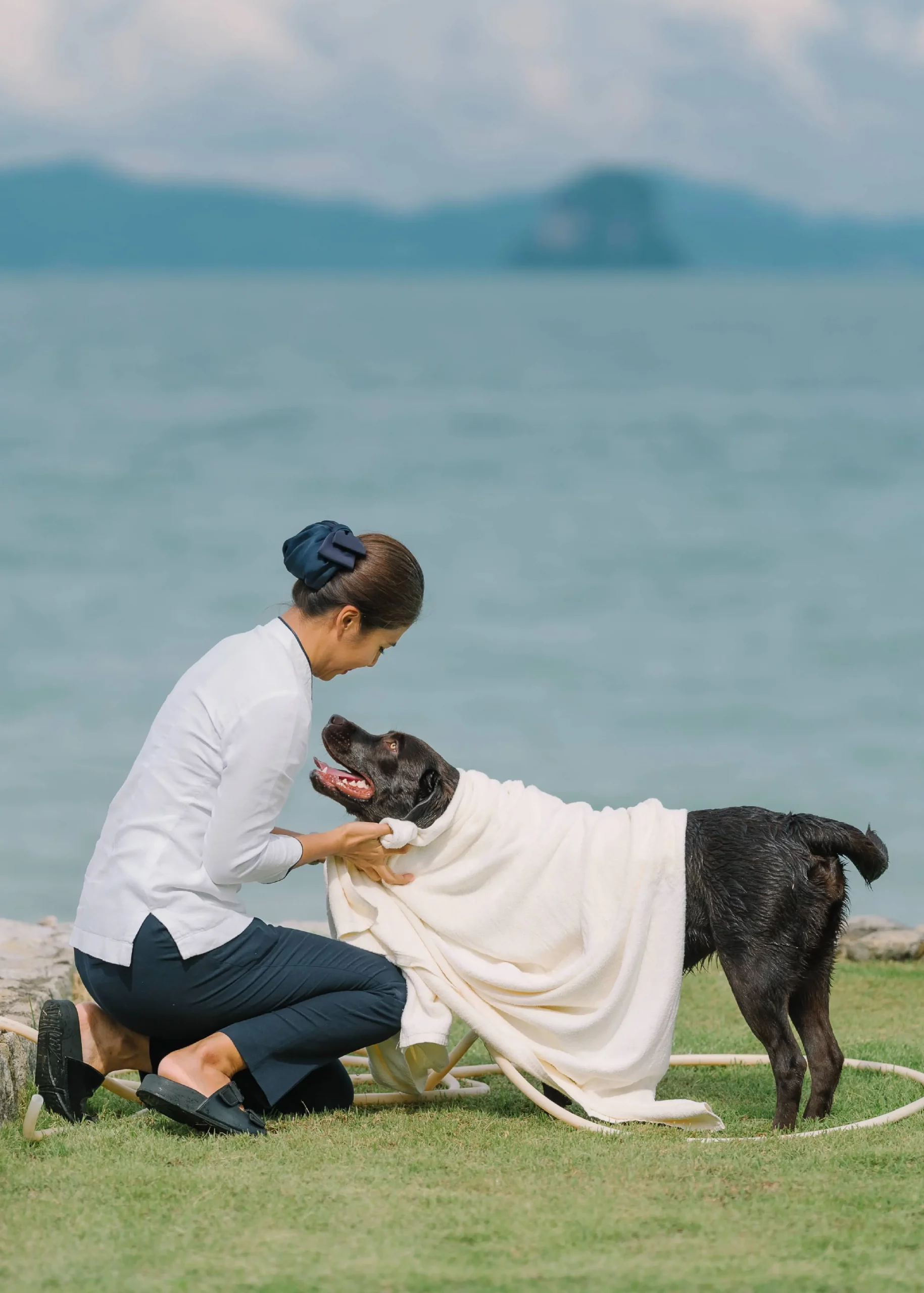 ANI Private Resorts - Pet Inclusions - Pet Grooming With ANI Staff