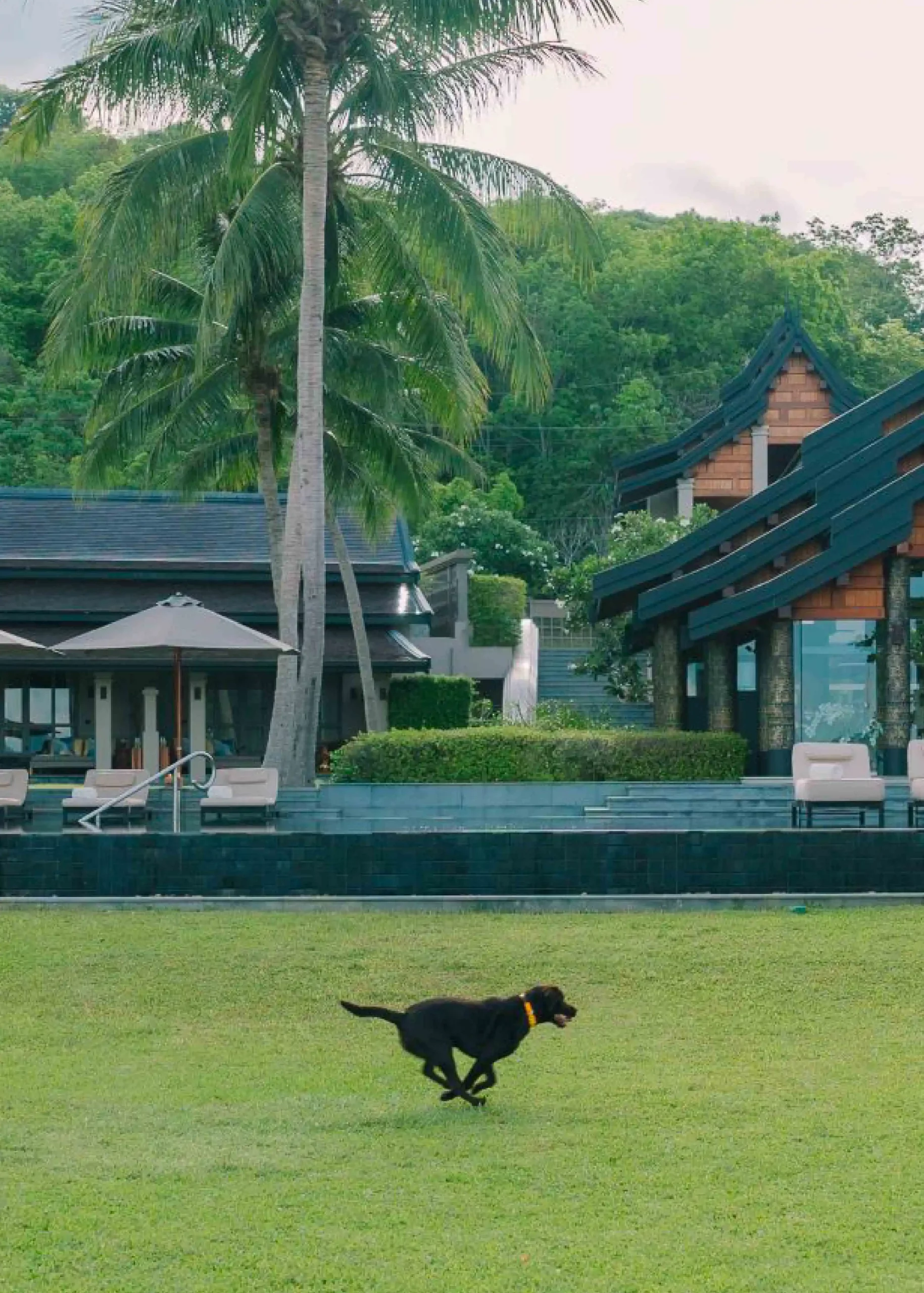 ANI Private Resorts - Pet Inclusions - Staff Services in Pet Inclusions