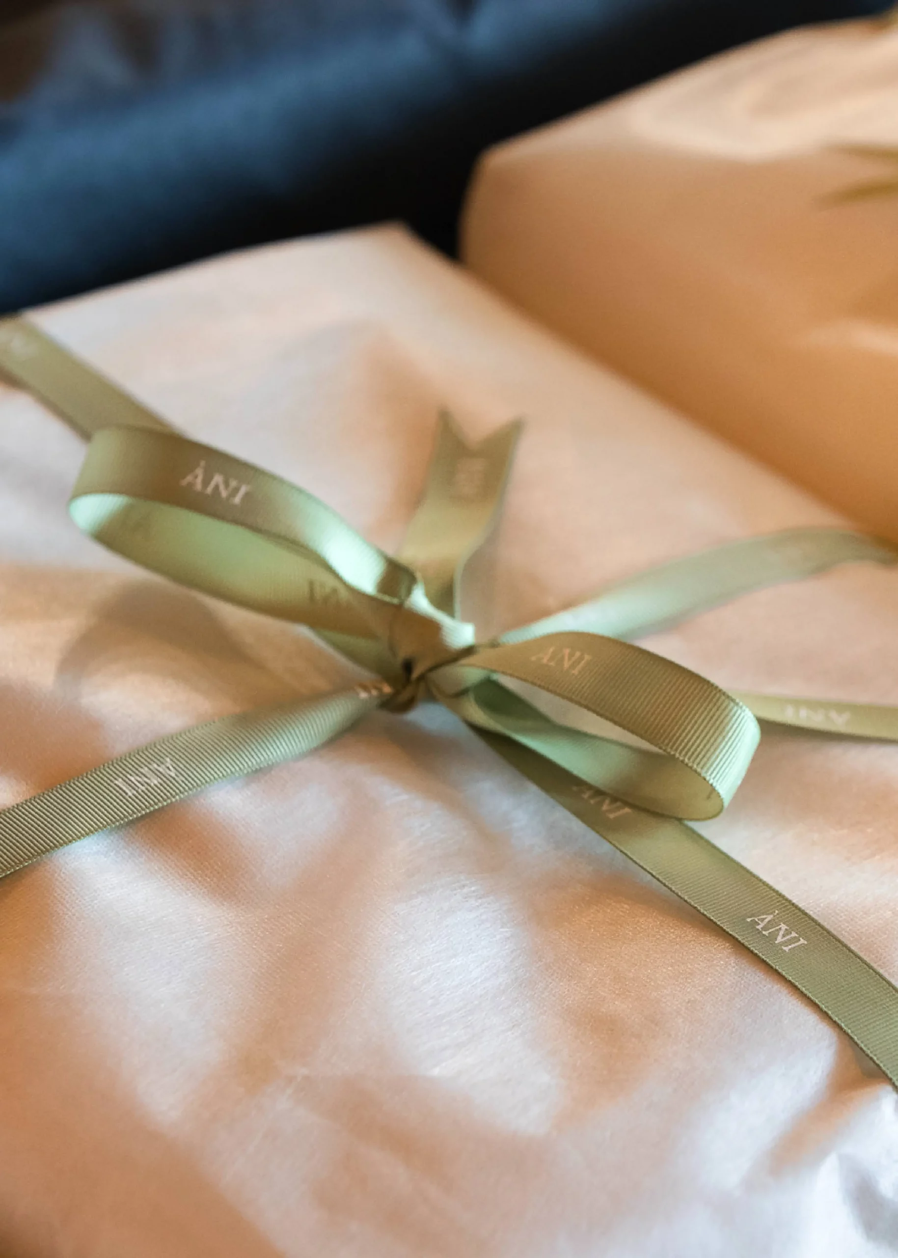 Ani-Thailand_dining-breakfast