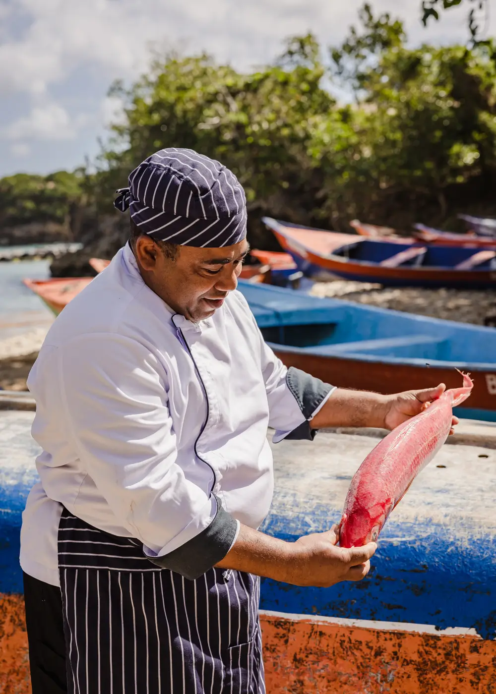 ANI Dominican Republic - Guest Privileges - Sunset Cruise - Sunset Swim