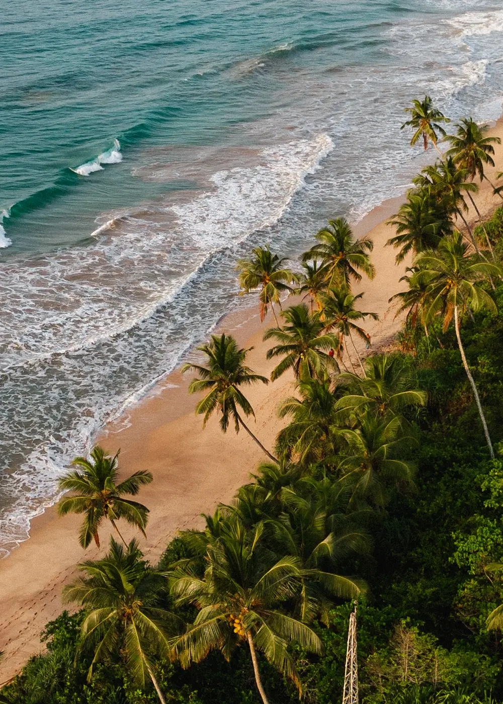 Private Beach Yoga at Sunrise