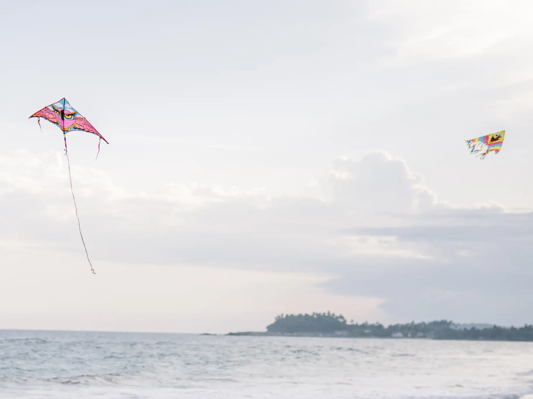 ANI Private Resorts - Pet Inclusions - Paddleboarding And Family Activities With Pets