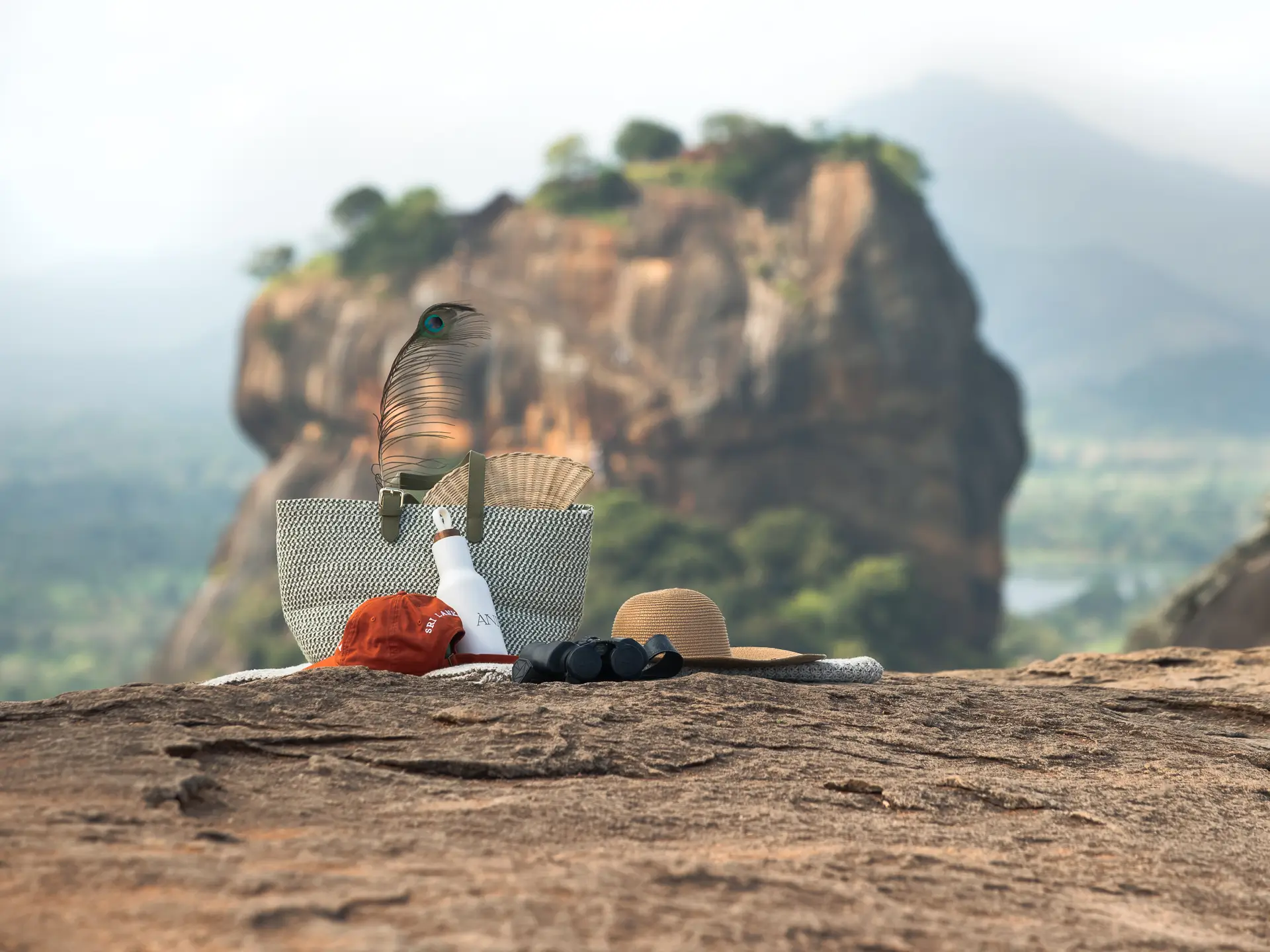 ANI Thailand - Dining - Dishes - Beef with Black ink pasta