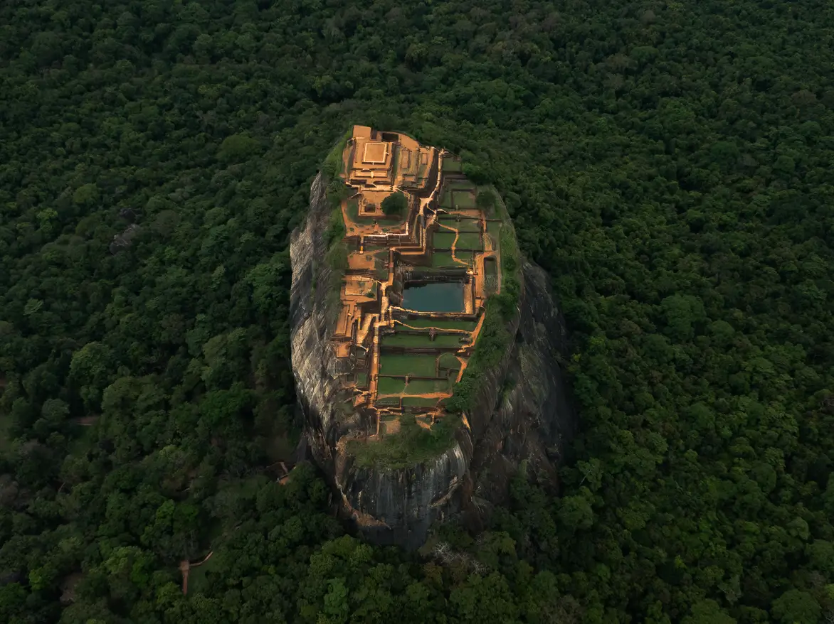 ANI Thailand - Dining - Dishes - Beef with Black ink pasta