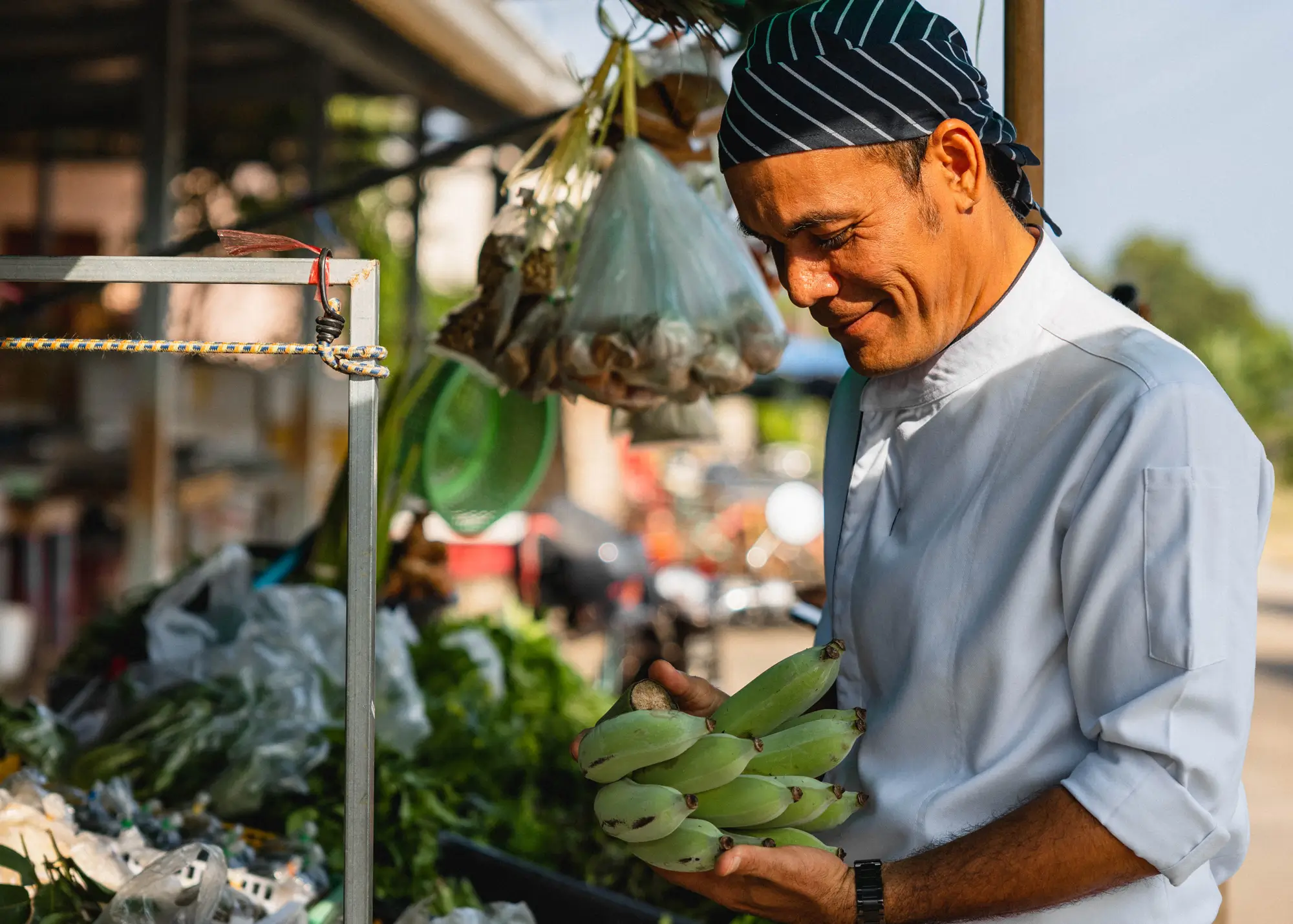 Dominican Republic whale watching at Samana Bay